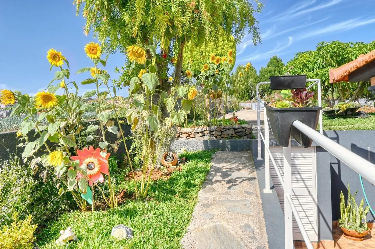 Casa Primavera, A Home In Madeira Ponta do Sol  Ponta do Sol (Madeira)